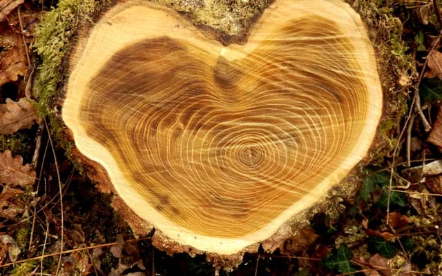Preserving natural timber grain and Vietnamese craft heritage